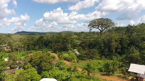 Luftaufnahme-Eines-Kapokbaums.-Saül-Dorf-Im-Amazonaspark-Guayana.